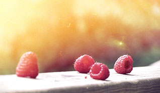 手机号测压网页